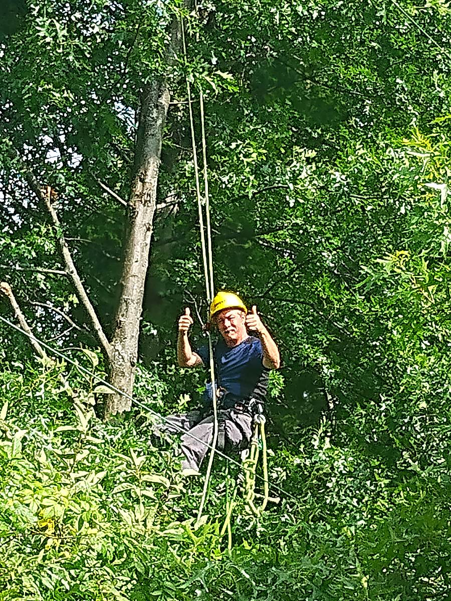 Climber roped into a tree giving a thumbs up