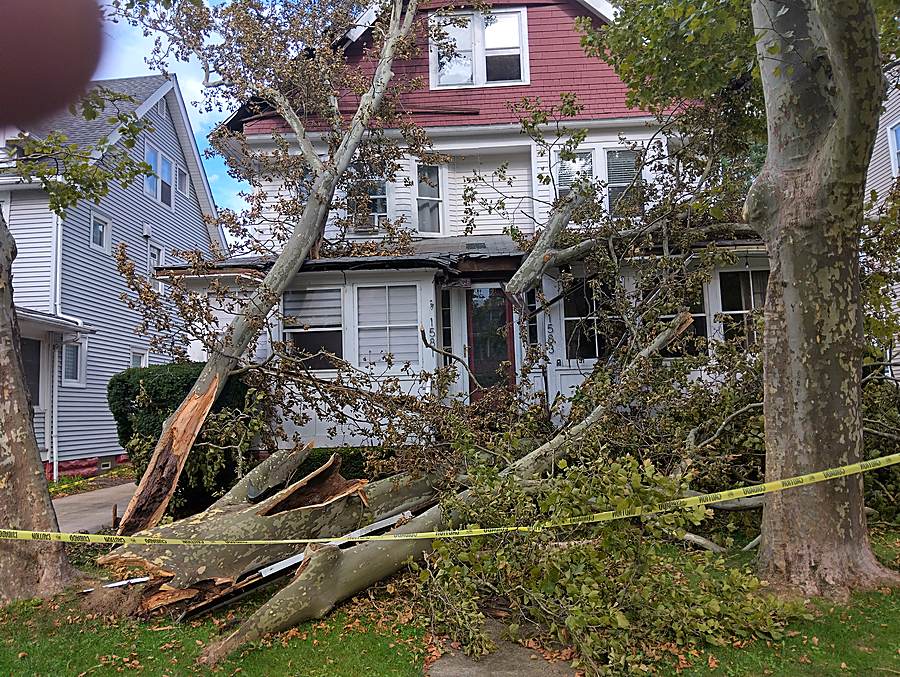 Storm-damaged tree limbs down on a house roof